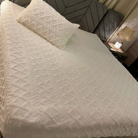 Image of دفاية فرو أستيك + 2 كيس للمخدة