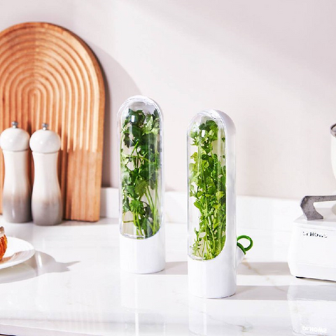 Image of حافظة الأعشاب