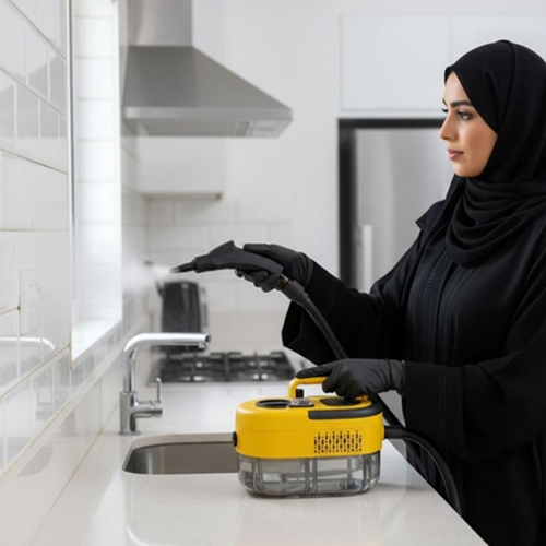 جهاز البخار المحمول من DENX