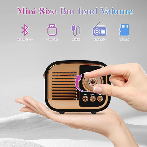 راديو وسبيكر 2 في 1