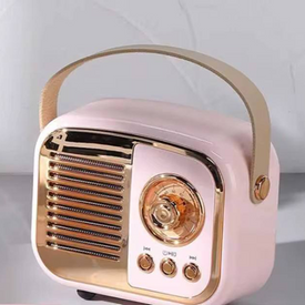 راديو وسبيكر 2 في 1