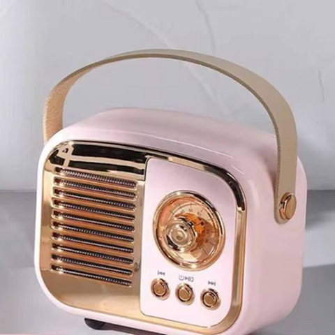 Image of راديو وسبيكر 2 في 1