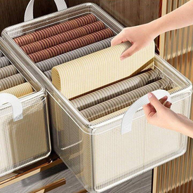 منظم شفاف للدريسنج